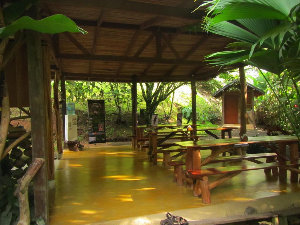 Отель El Chontal Rincon Экстерьер фото